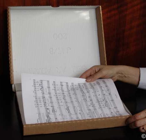 Boîtes pour imprimés ou plaques de verre, modèle horizontal (B)